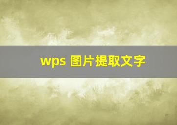 wps 图片提取文字